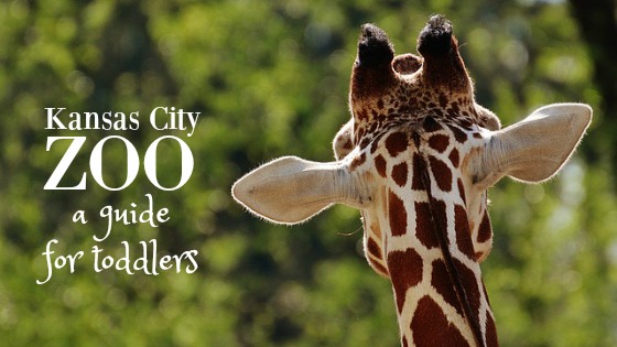 The Kansas City Zoo: a Guide for Toddlers