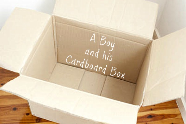 A Boy and His Cardboard Box
