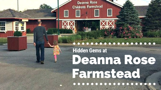 Hidden Gems at Deanna's Rose Farmstead