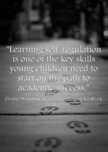 self-regulation