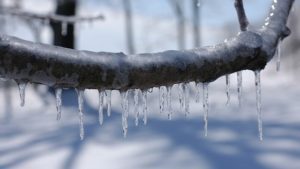 10 Steps to Preparing for a Kansas City Ice Storm