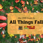 Kansas City Fall Guide