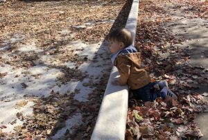 Toddler in leaves