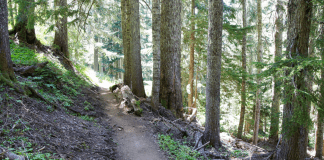 pic of hiking trail