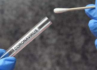 pic of coronavirus test