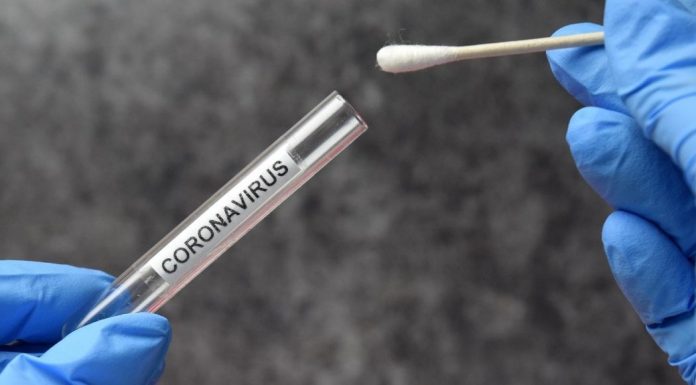 pic of coronavirus test