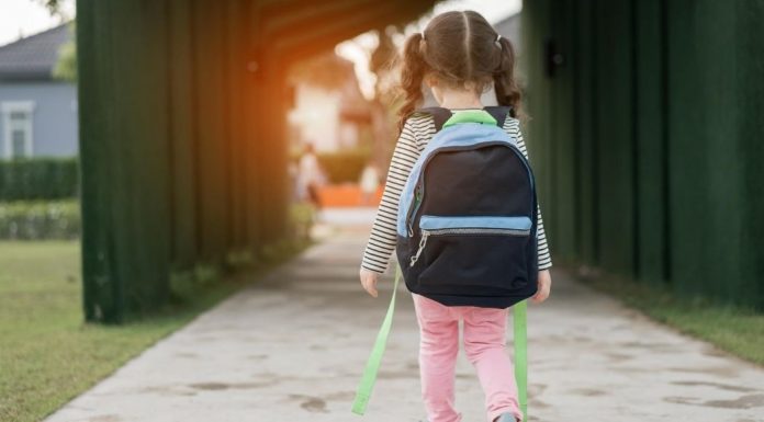 pic of little girl walking to school