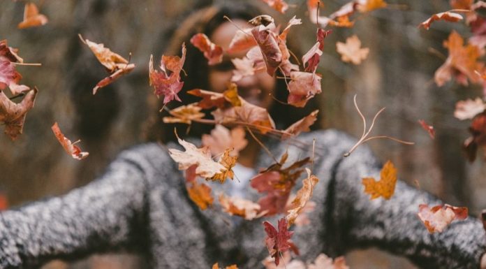 pic of woman throwing autumn leaves
