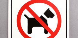 no dogs allowed sign
