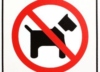 no dogs allowed sign