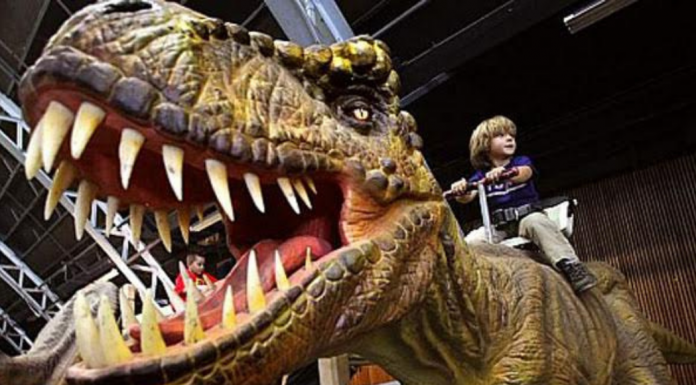 kid riding T-rex at Jurassic Quest