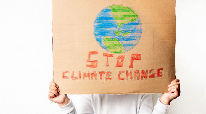 woman holding up poster that says stop climate change