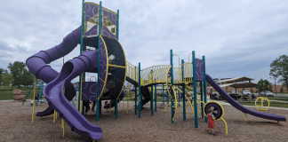 Lowenstein Park playground