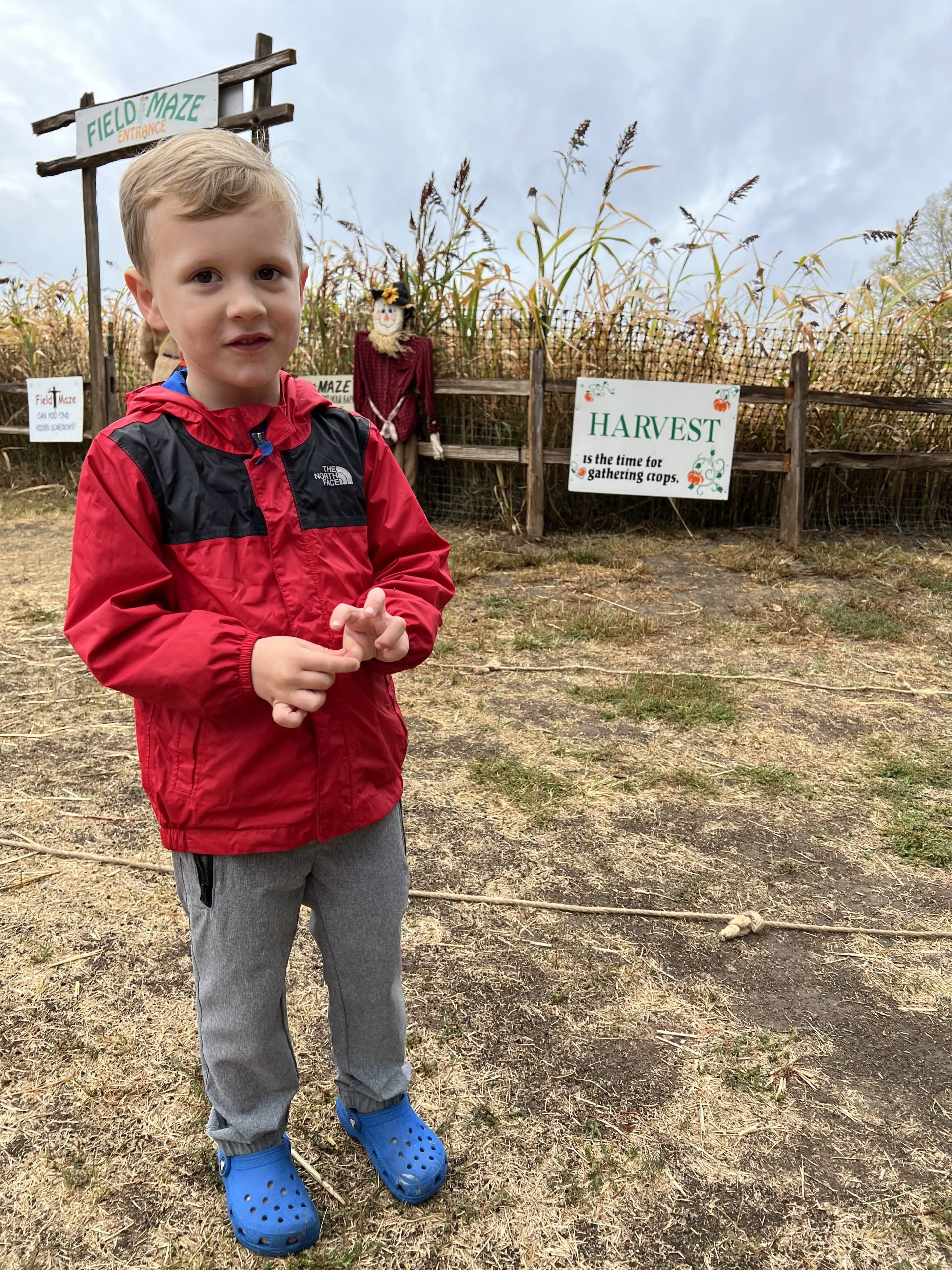 Best Corn Mazes in Kansas City