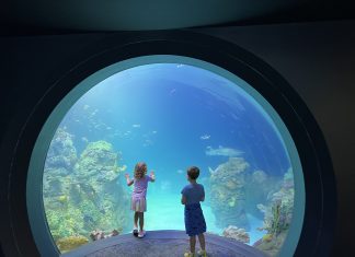Kids looking into tank at Sobela Aquarium at the Kansas City Zoo